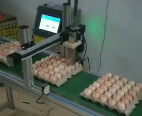 鴻碼創(chuàng)S8200配移動平臺噴印雞蛋案例